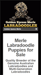 Mobile Screenshot of goldenxpressmerlelabradoodles.com