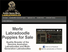 Tablet Screenshot of goldenxpressmerlelabradoodles.com